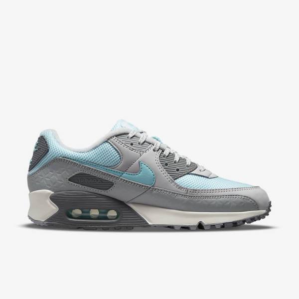 Nike Air Max 90 Miesten Tennarit Harmaat Platina | NK075ECD