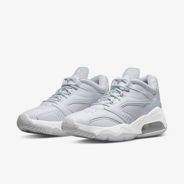 Nike Jordan Point Lane Miesten Jordan Kengät Platina Valkoinen Harmaat | NK510VRX