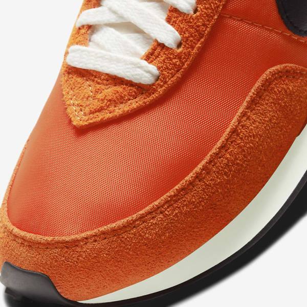 Nike Waffle Trainer 2 SP Miesten Tennarit Valkoinen Mustat | NK043SLX